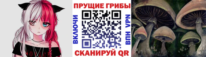 Псилоцибиновые грибы мицелий  Североуральск 